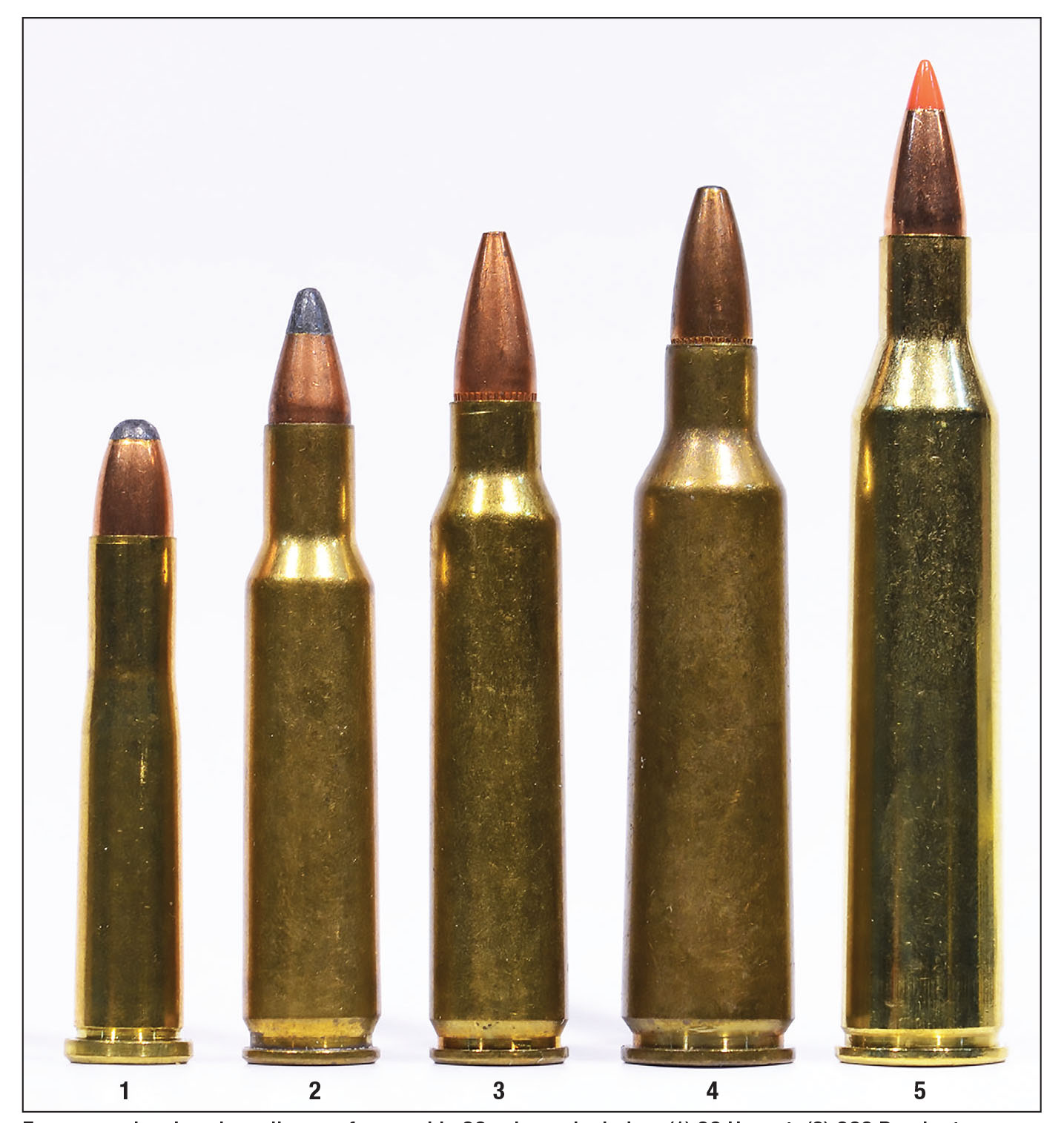 For comparison’s sake, a lineup of venerable 22s shown include a (1) 22 Hornet, (2) 222 Remington, (3) 223 Remington, (4) 22-250 Remington and a (5) 220 Swift. Remarkably, not one is younger than 60 years old and all are still chambered, and shot, somewhere or other.